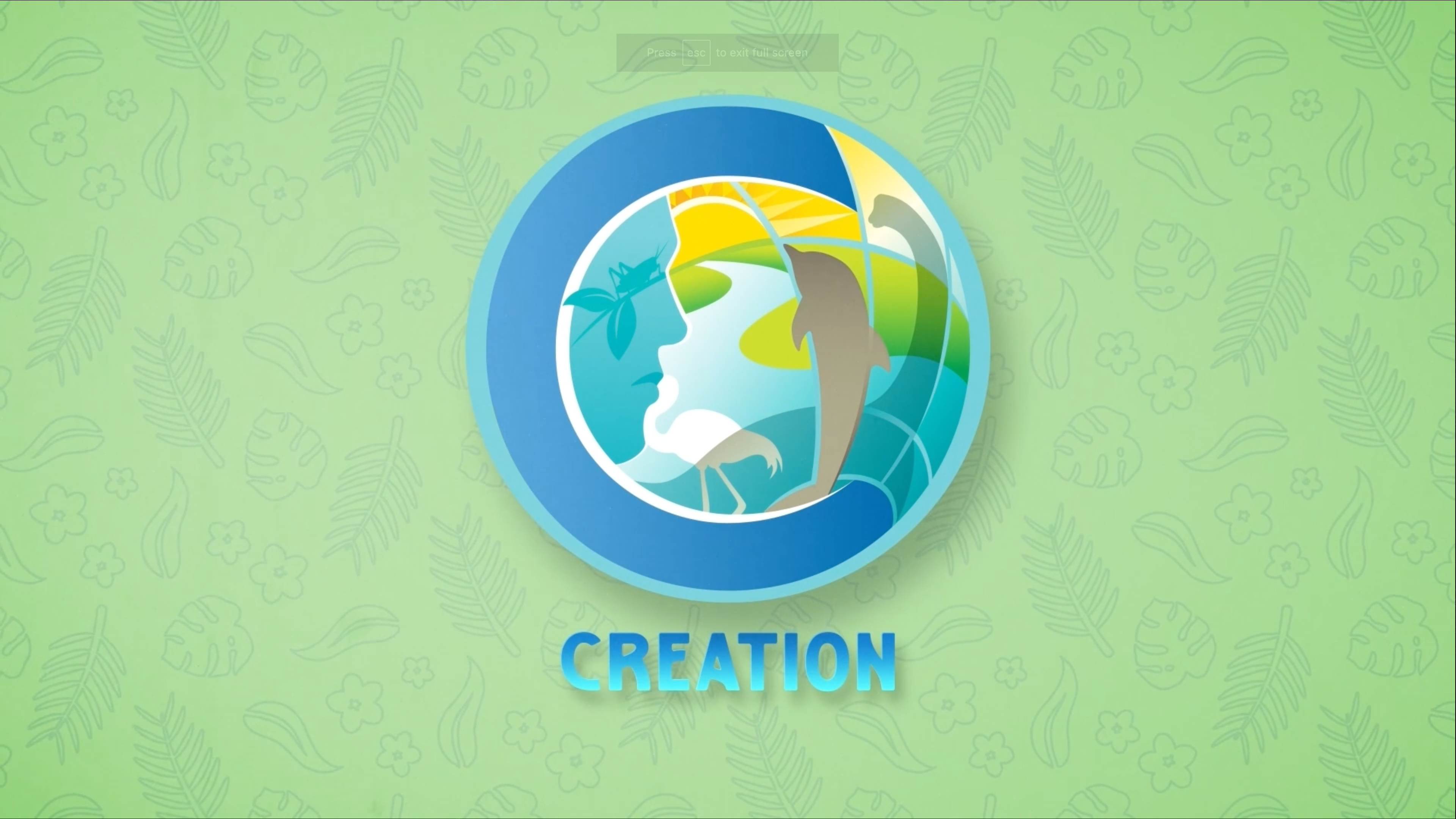 7 Cs Game 1: The Great Jungle Journey - Creation