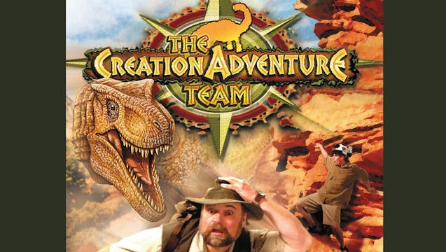 A Jurassic Ark Mystery