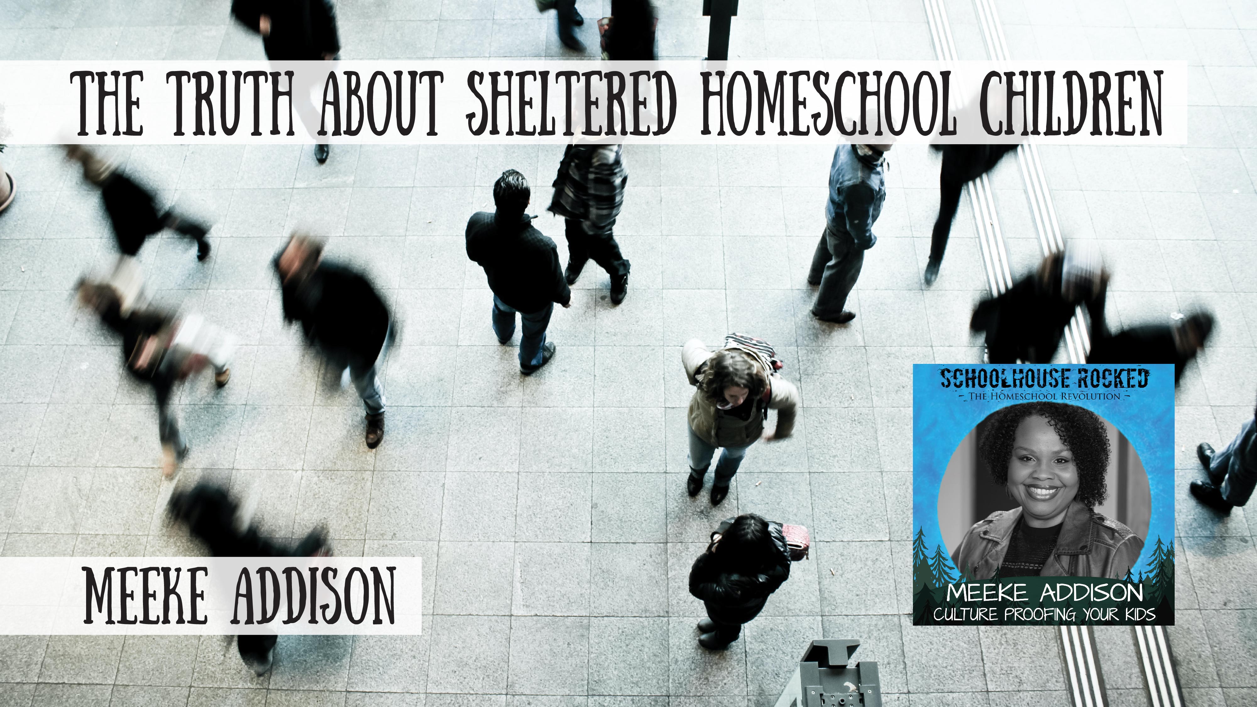 The Truth about Sheltered Homeschool Children