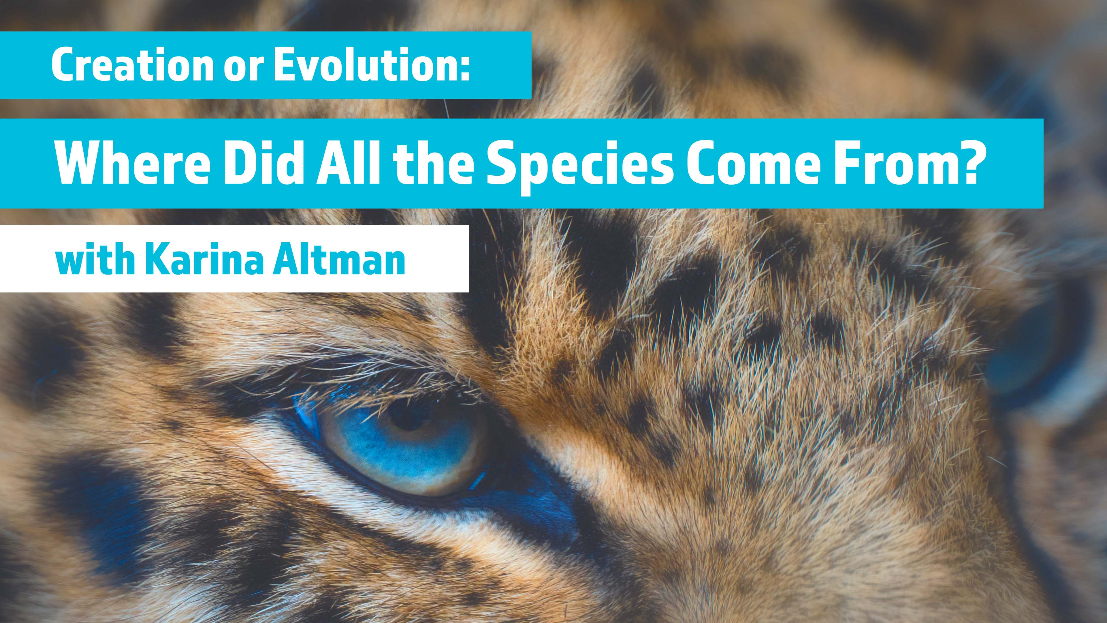 Creation or Evolution: Where Did All the Species Come From?