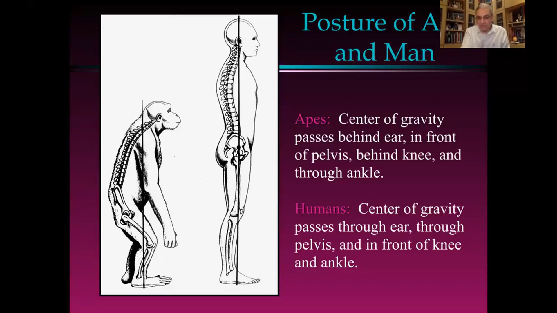 The Uniqueness of Humans - part 2 (with Dr. Nagy Iskander)