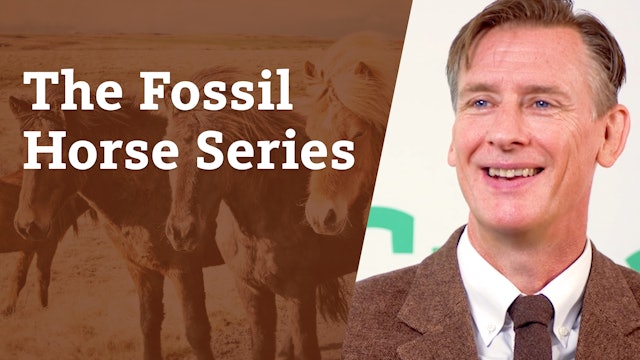 S5E3 The fossil horse series