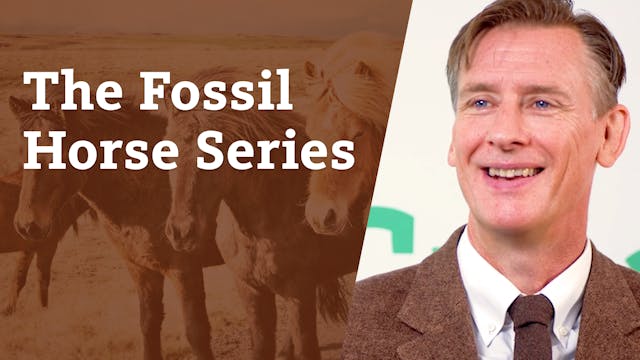 S5E3 The fossil horse series