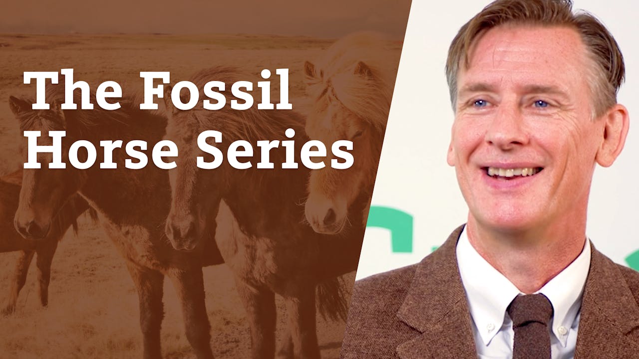 S5E3 The fossil horse series Season 5 Answers.tv