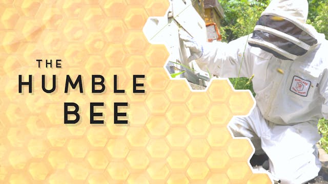 S5E7 The Humble Bee