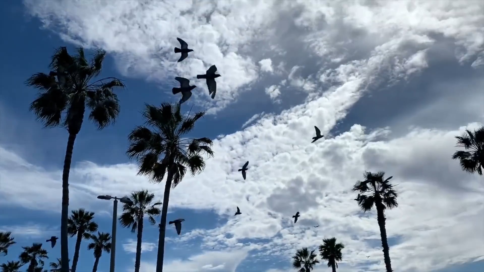 Non-Christians Give Street Preacher a RoUGH Time!