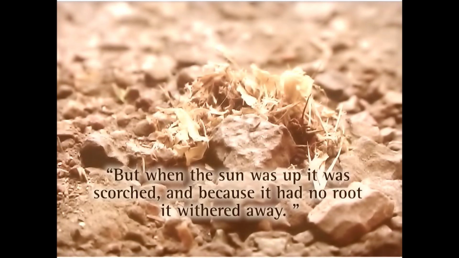 True & False Conversion