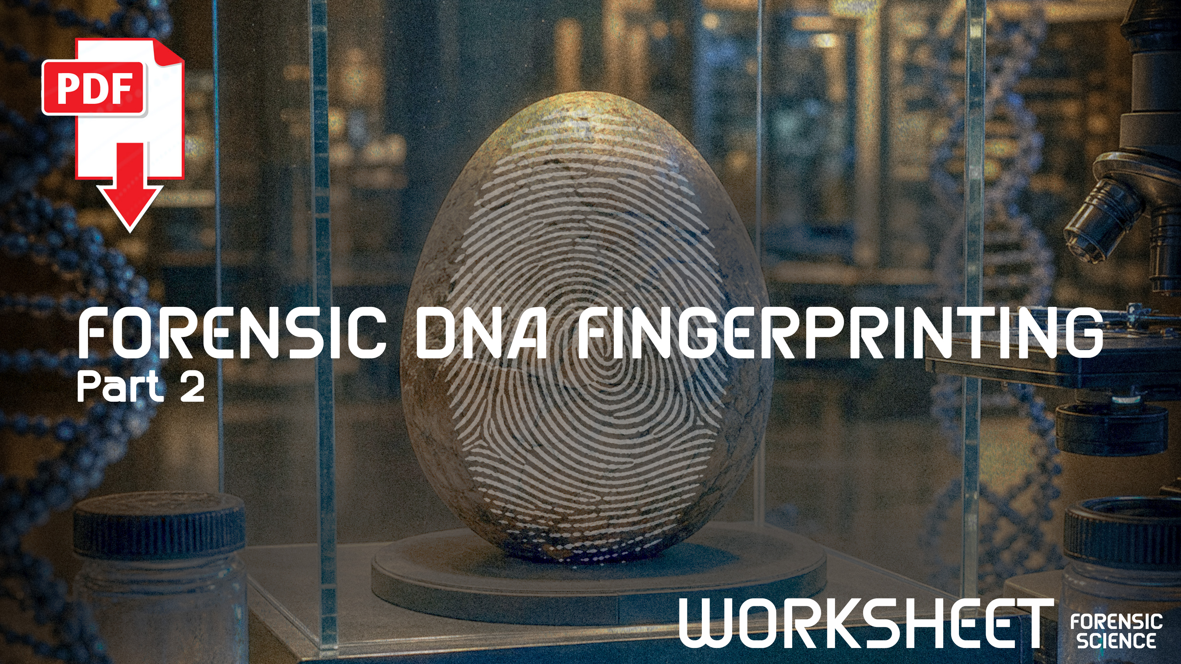 S1E7 Worksheet Forensic DNA Fingerprinting Part 2