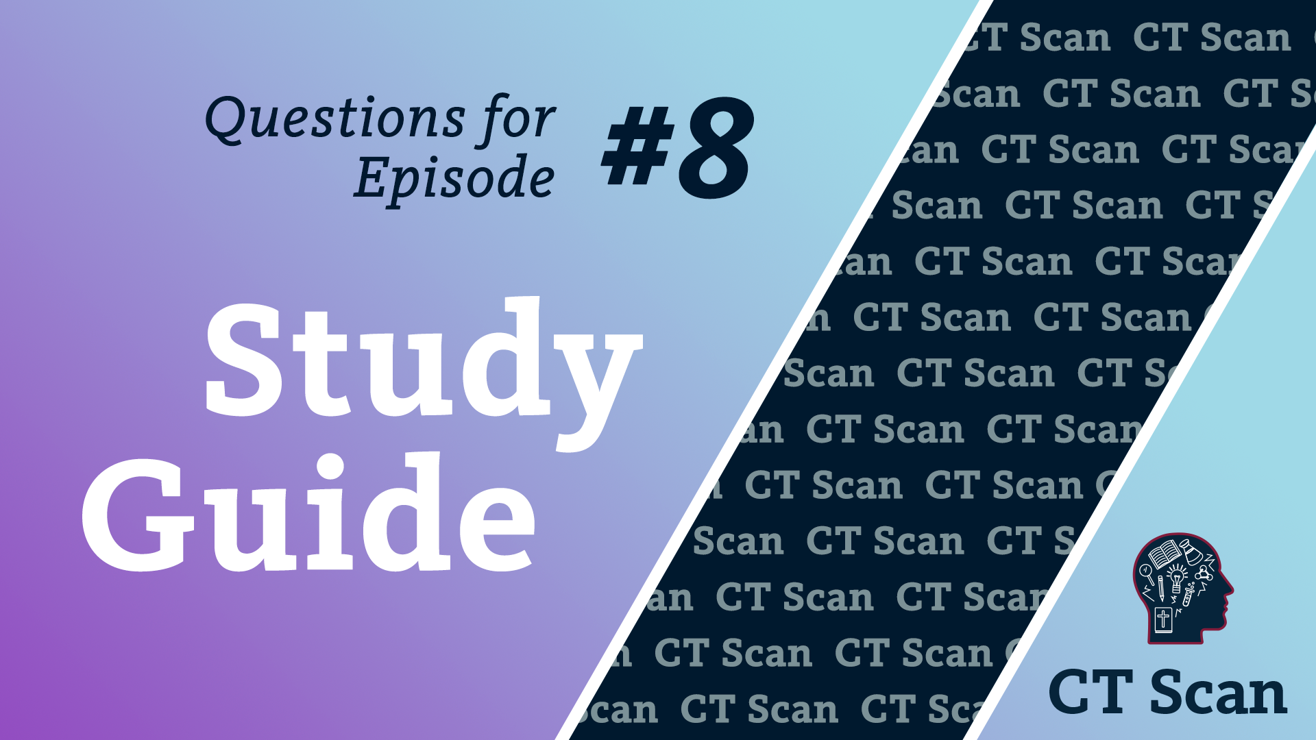 Handout 8 - Asking Big Picture Questions 