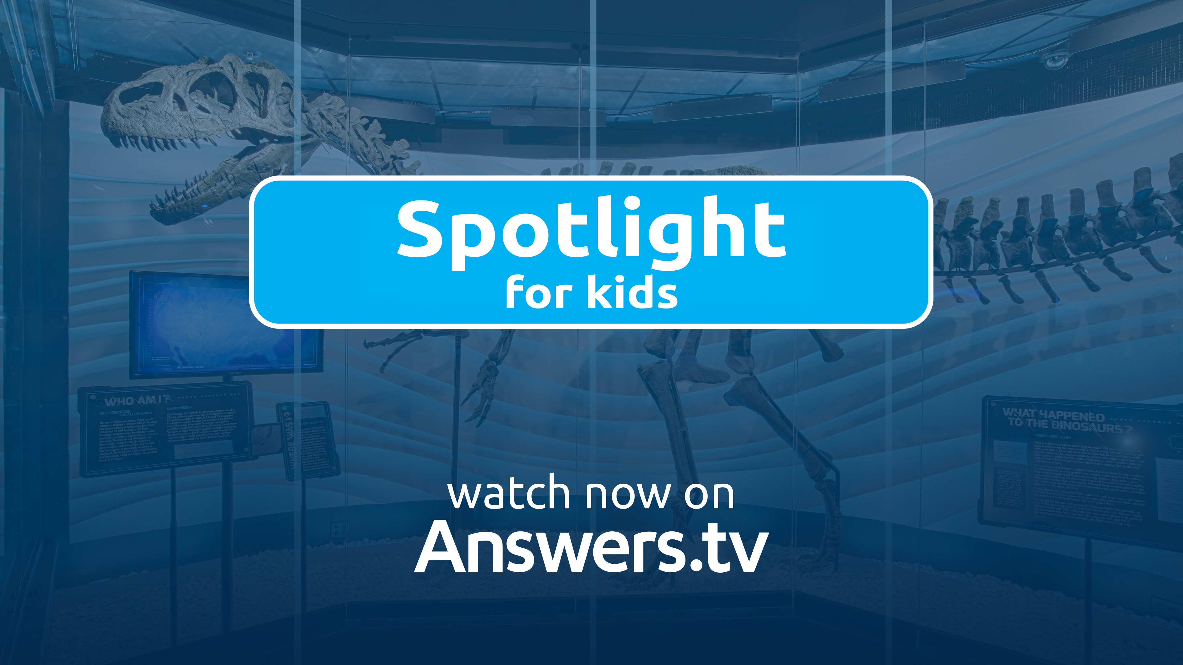 Spotlight For Kids