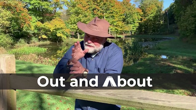 S1E9 out and About: Spiders and Spide...