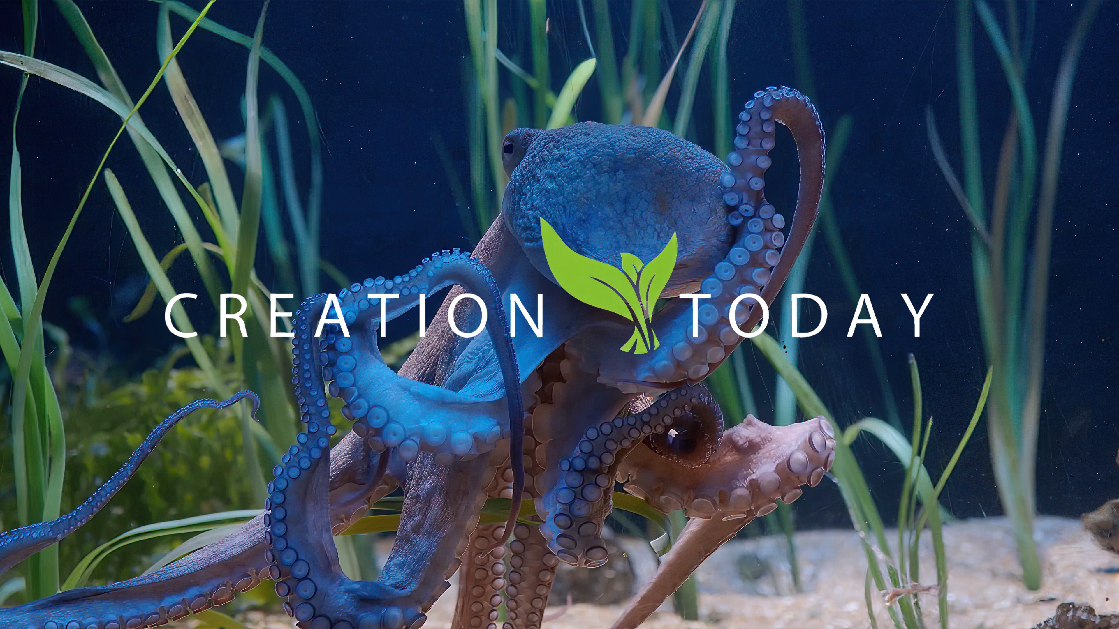 S1E1 Theistic Evolution On Trial