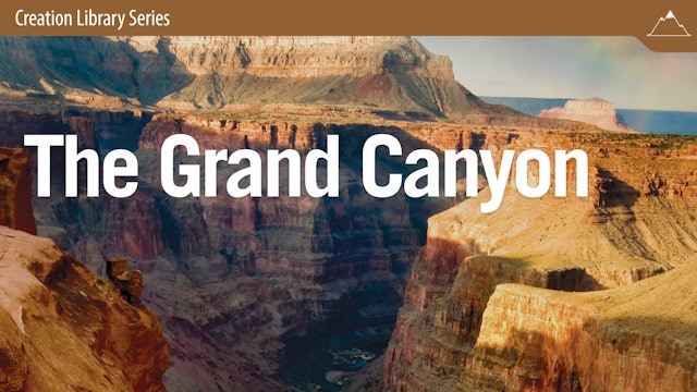 Grand Canyon: Testimony to the Biblical Account of Earth’s History