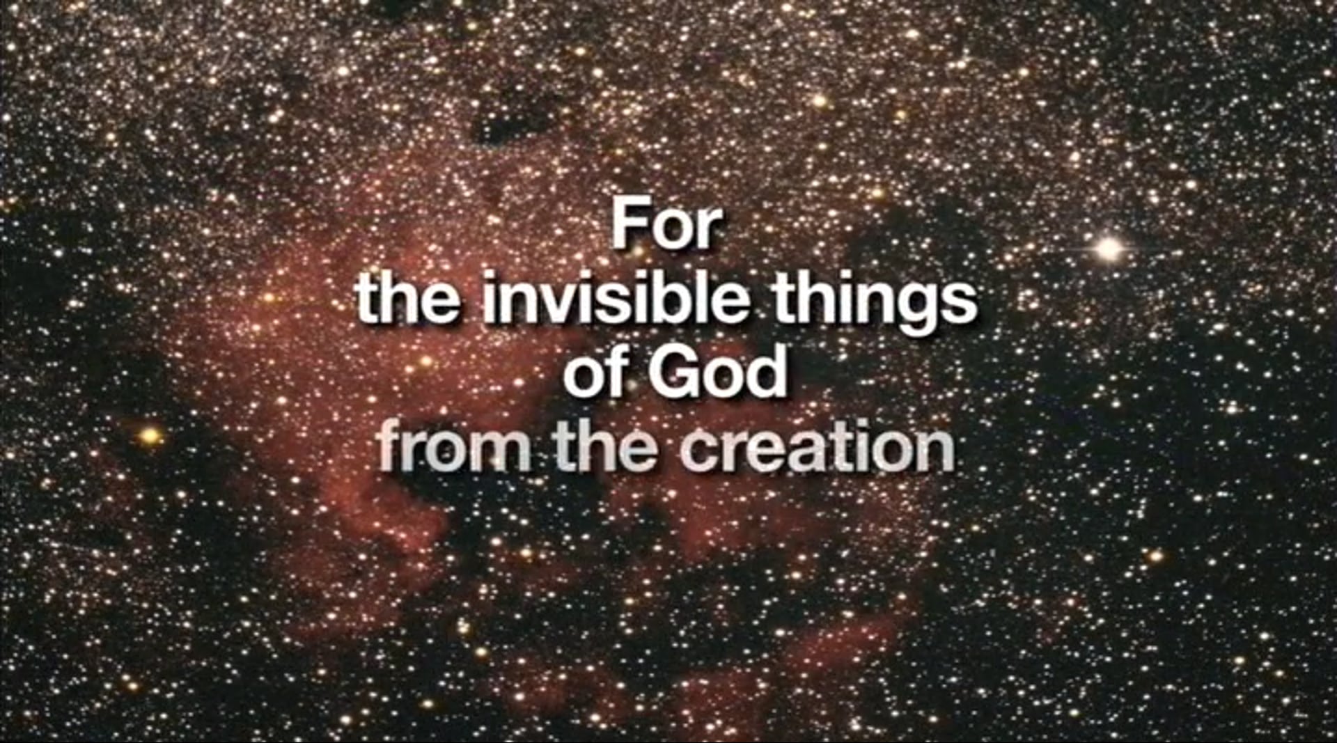 Part 3 - Life: Common Designer