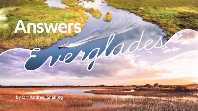 Everglades - An Ever-Changing Environ...