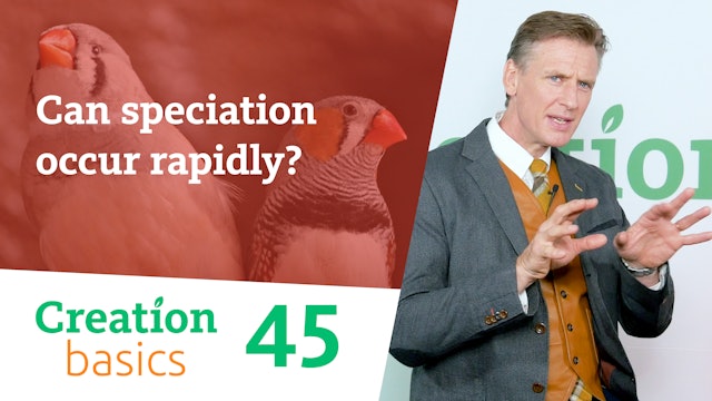 S1E45 Can speciation occur rapidly?