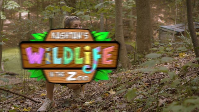 Kashtan Season 3_Ad Bumper_Premiere Date