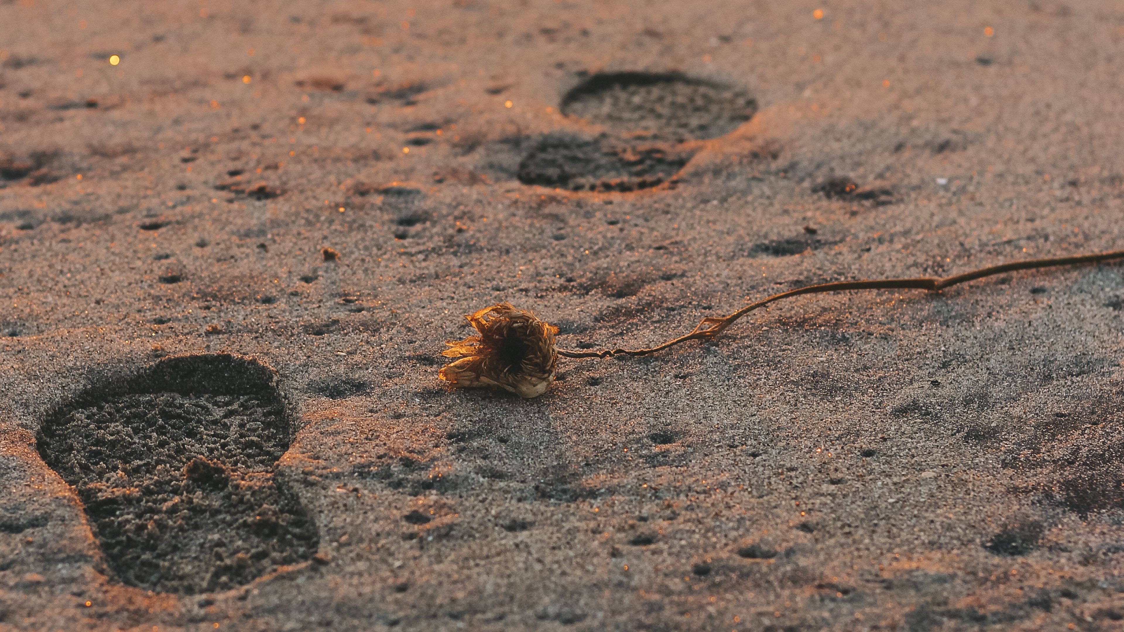 S2E4 Forensic Footprints