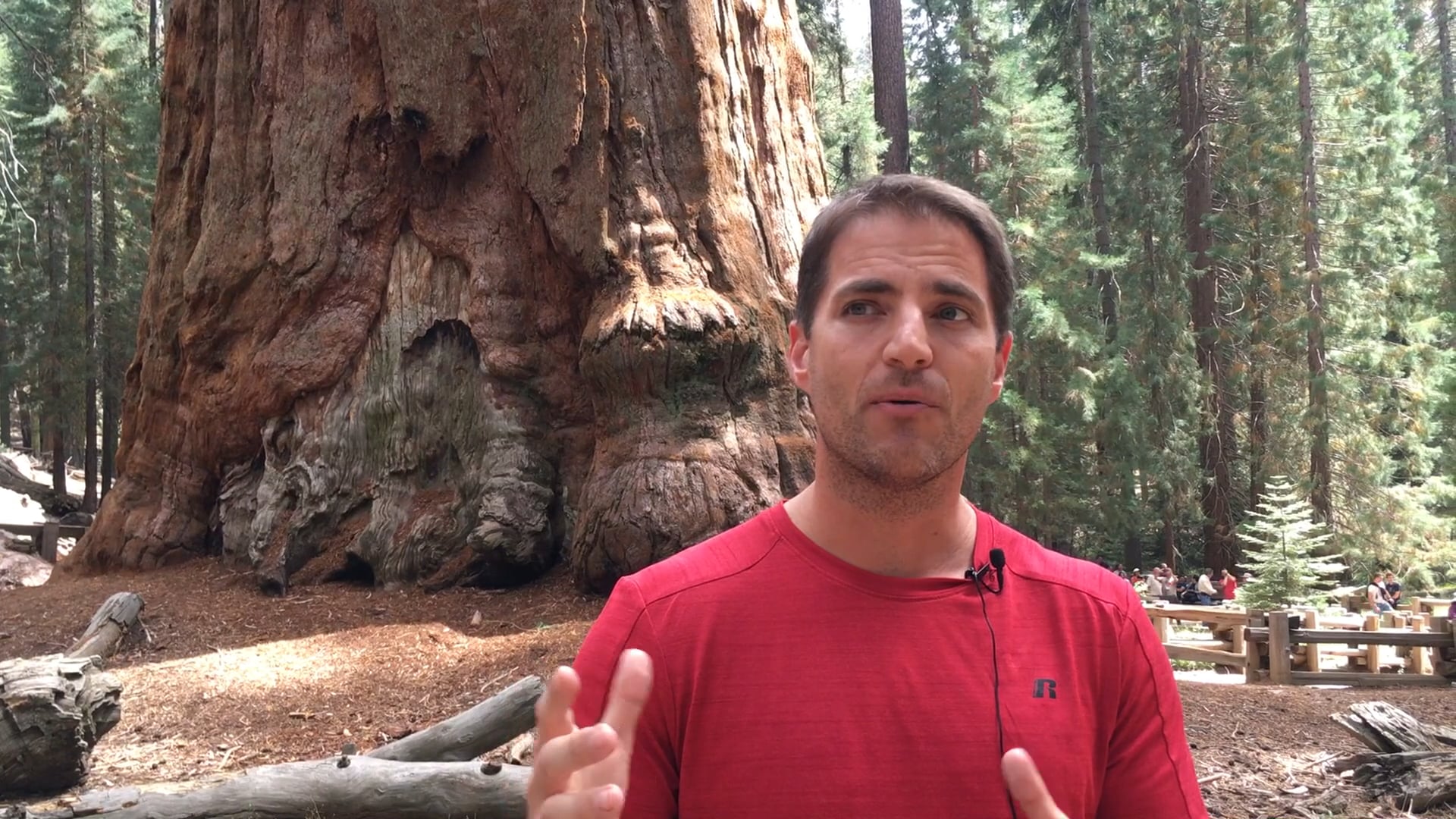 Confusion: Dispersion at Babel