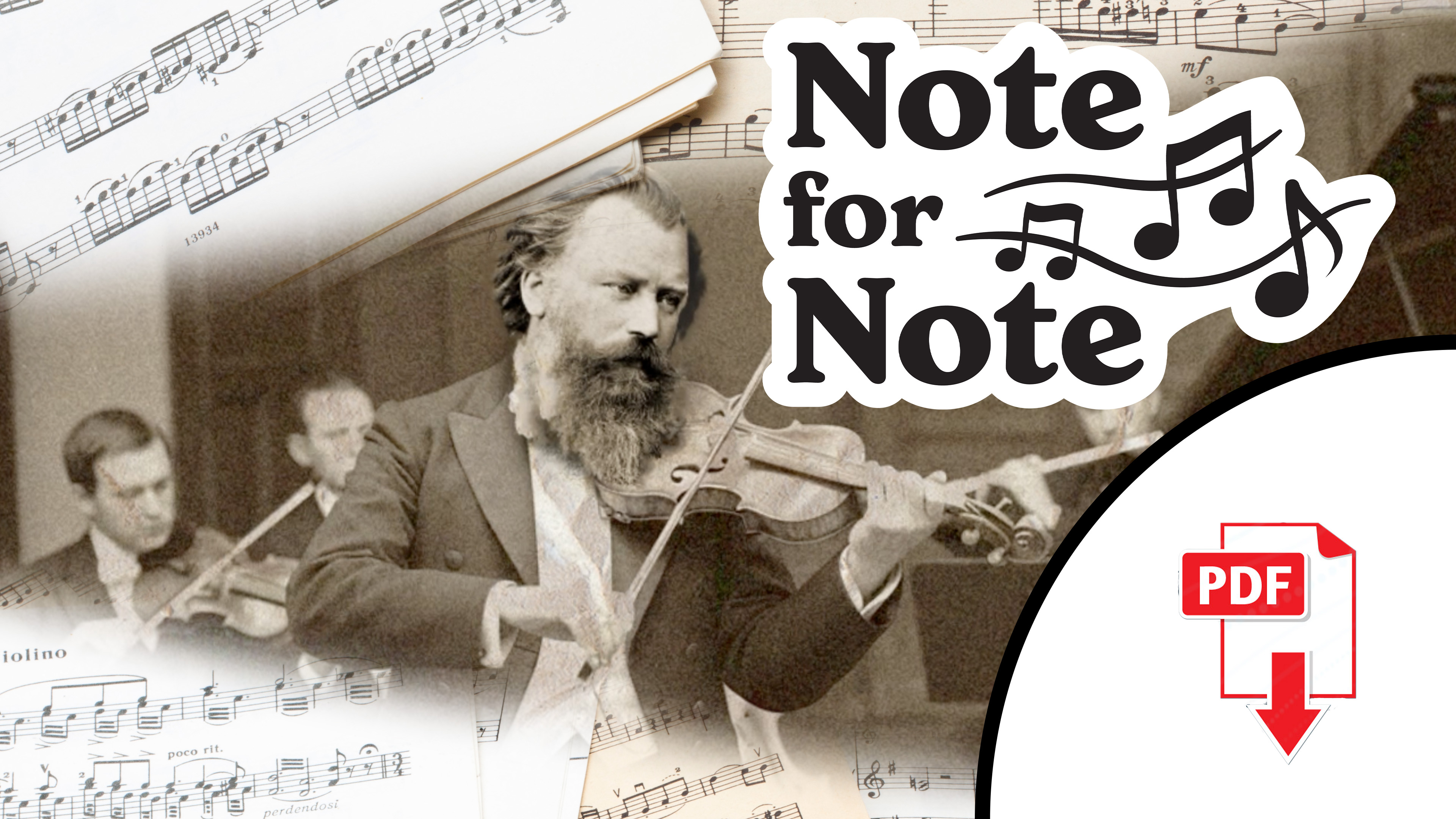 S1E3 Rhythm In Music Companion Guide