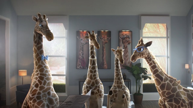 It Can’t Be That Big! (The Giraffe Family)