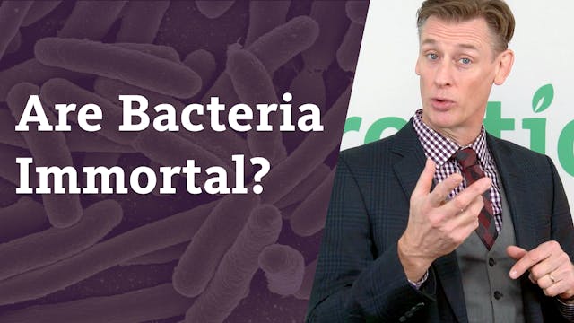 S5E7 Are Bacteria Immortal?