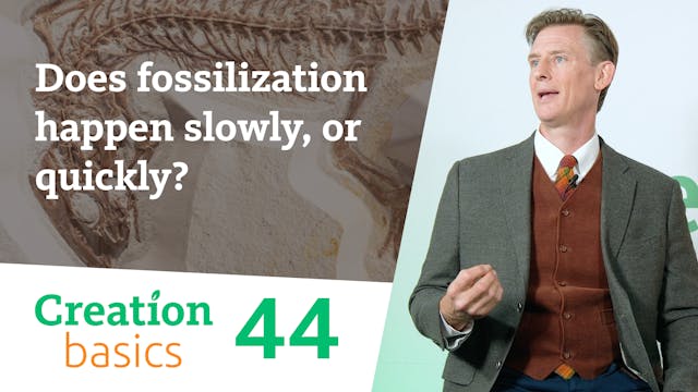S1E44 Does fossilization happen slowl...