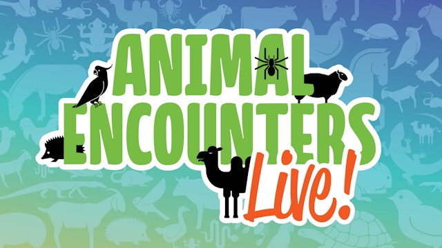 Animal Encounters Live