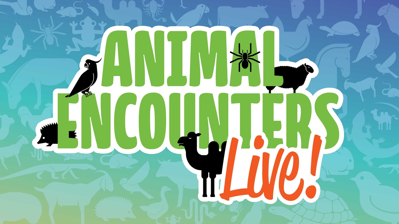 Animal Encounters Live