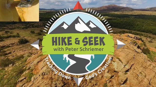 Hike and Seek Trailer