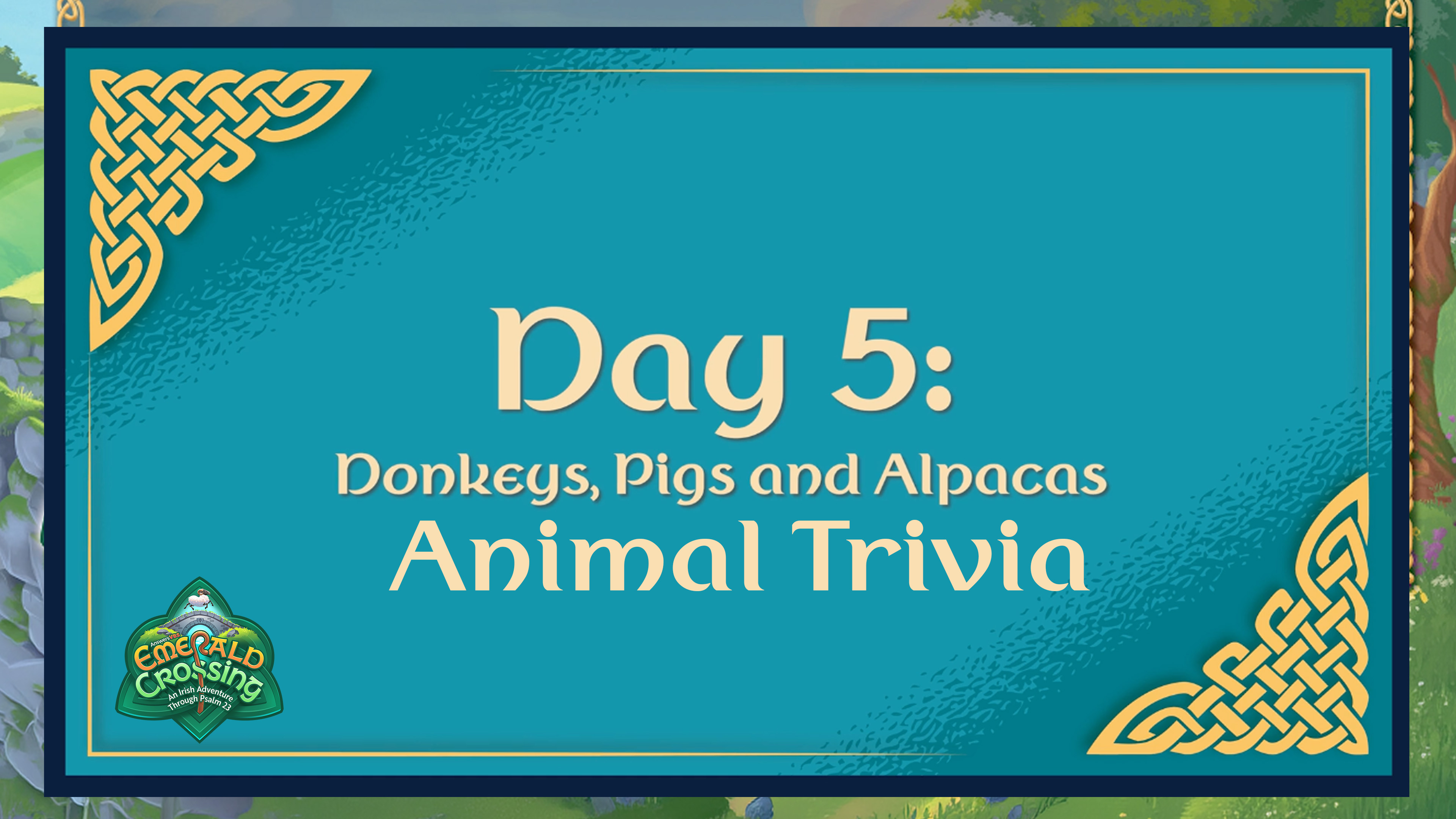 Animal Trivia Day 5 Countdown: Donkeys, Pigs, and Alpacas