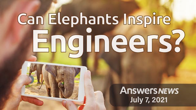 7/07 Can Elephants Inspire Engineers?