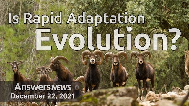 12/22 Is Rapid Adaptation Evolution?
