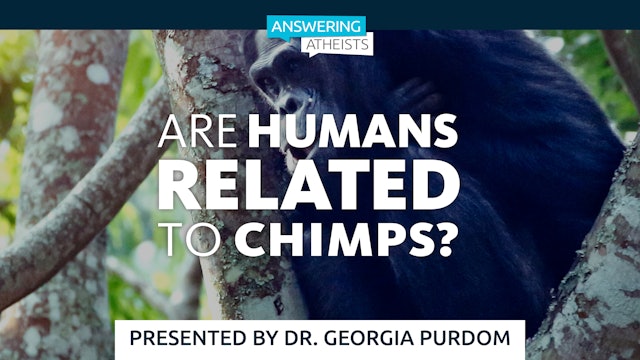 Are Humans Related to Chimps?