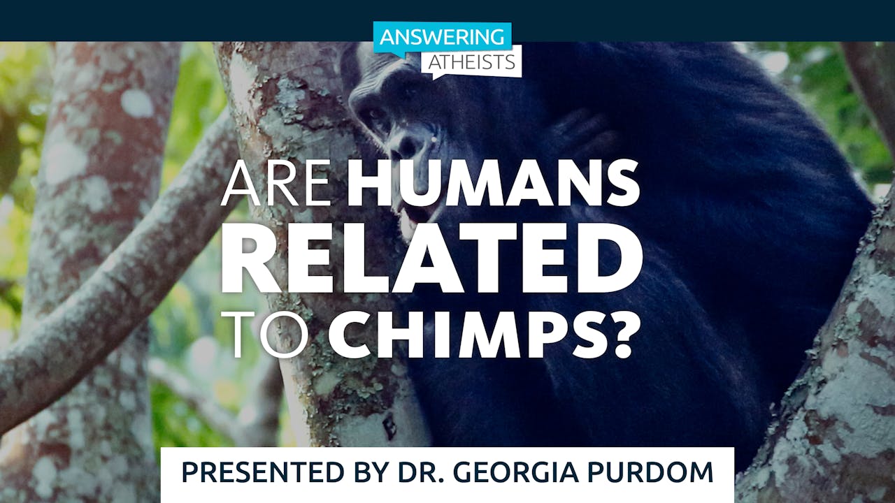 Are Humans Related To Chimps Dr Georgia Purdom Answering Atheists Are Humans Related To Chimps Dr Georgia Purdom Answering Atheists