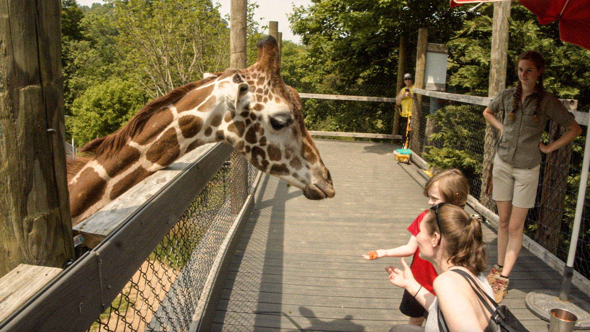 S1E1 Kashtan's Life Is a Zoo