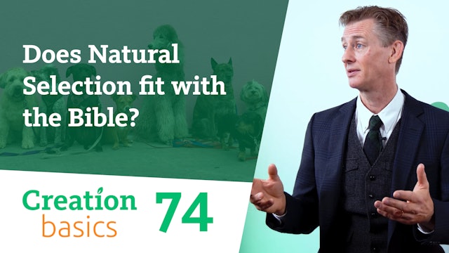 S1E74 Does Natural Selection fit with the Bible?