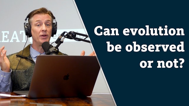 Can evolution be observed or not?
