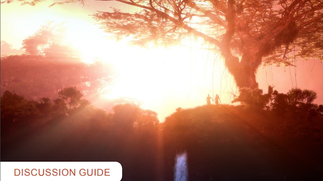 GENESIS: Paradise Lost - Guía de discusión (Español)
