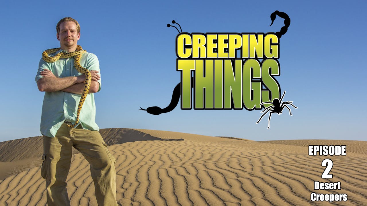 S1EP2 Desert Creepers Season 1 Answers.tv