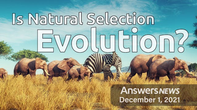 12/01 Is Natural Selection Evolution?