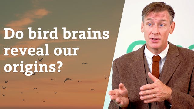 S4E22 Do bird brains reveal our origins?
