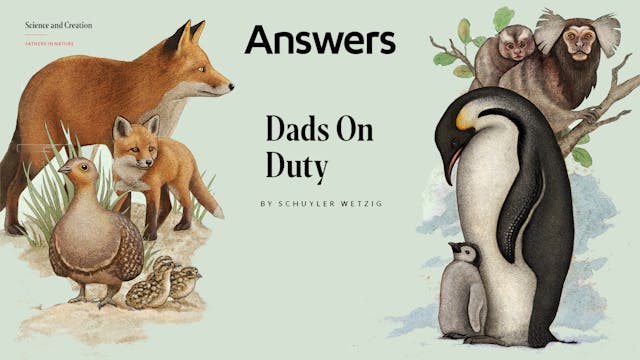 Dads on Duty (Answers Audio Article)