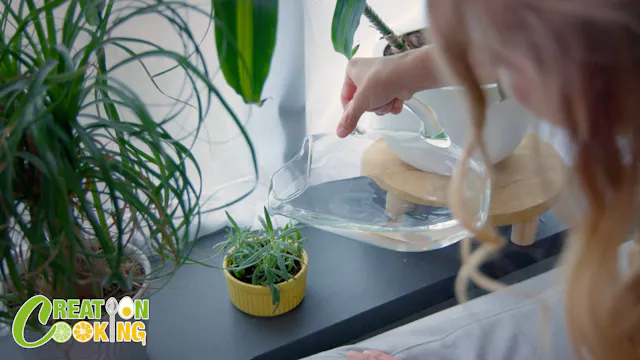 S2E5 Cooking With Rosemary and Fennel