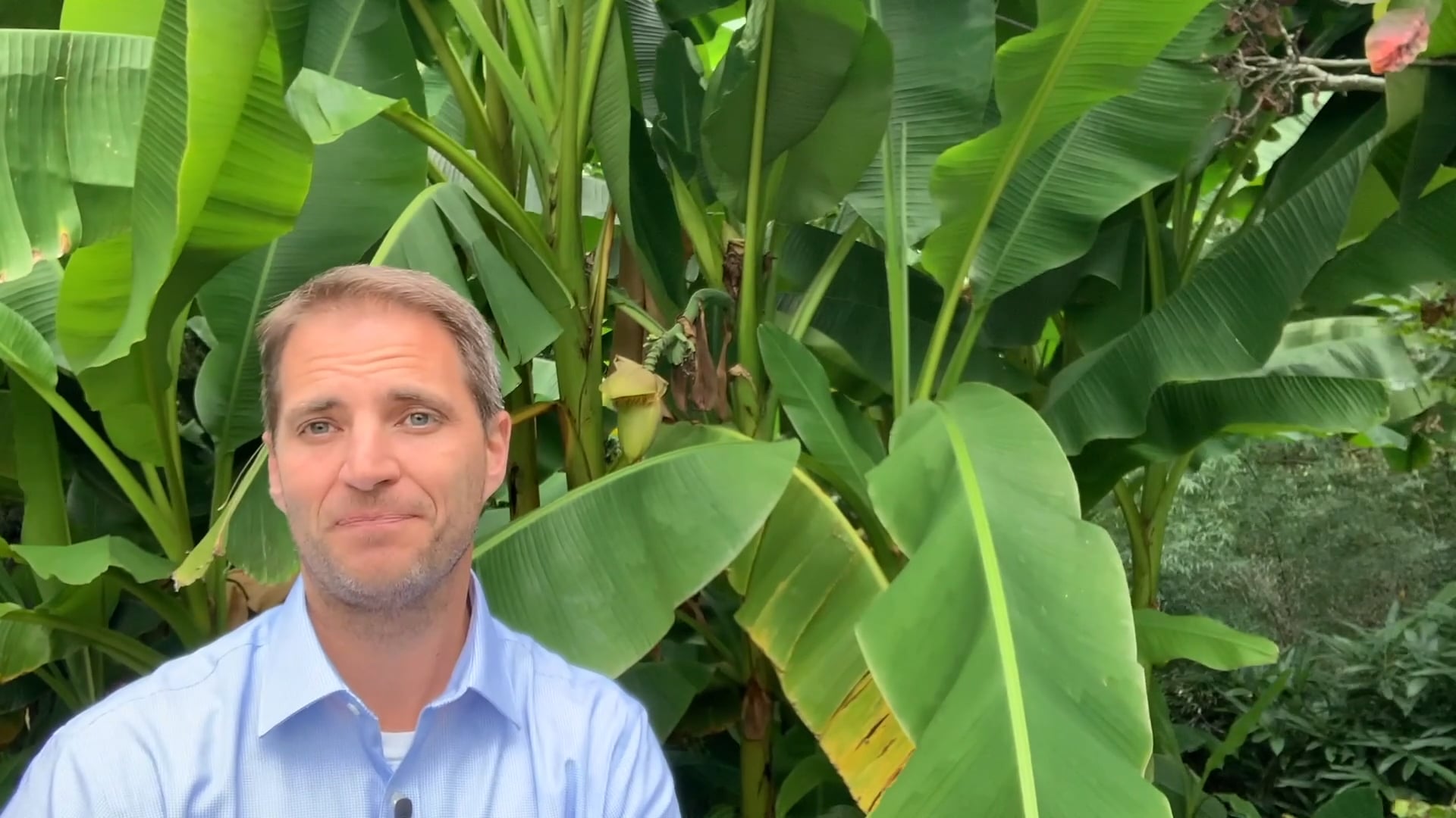 Jesus Saves Zaccheus