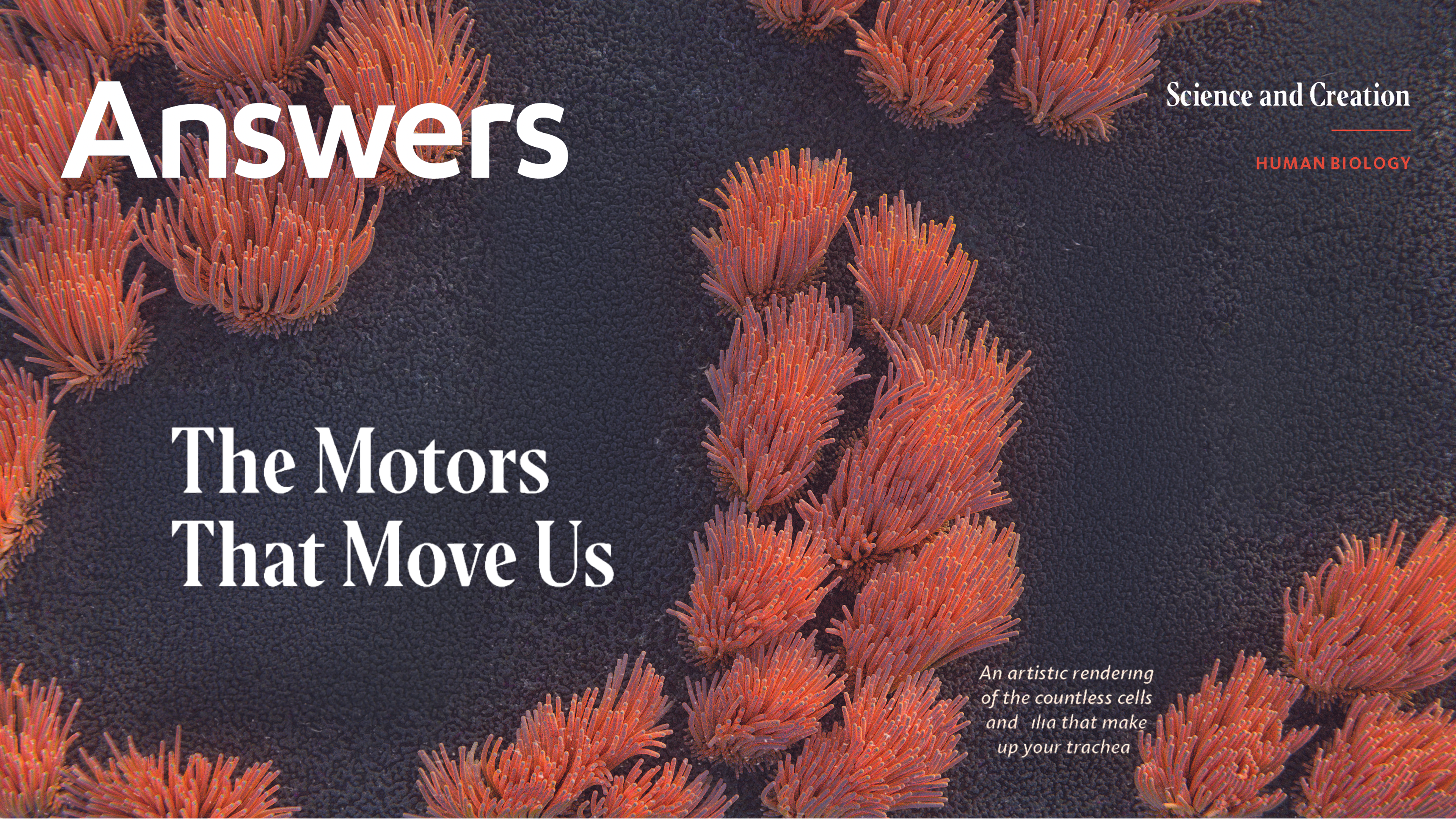 Motors That Move Us (Answers Audio Article)