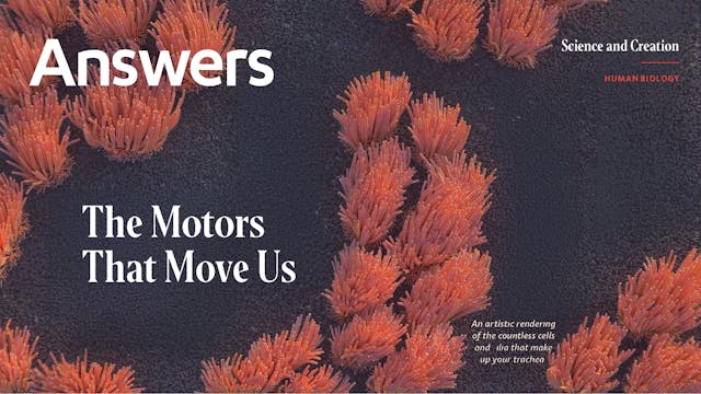 Motors That Move Us (Answers Audio Ar...