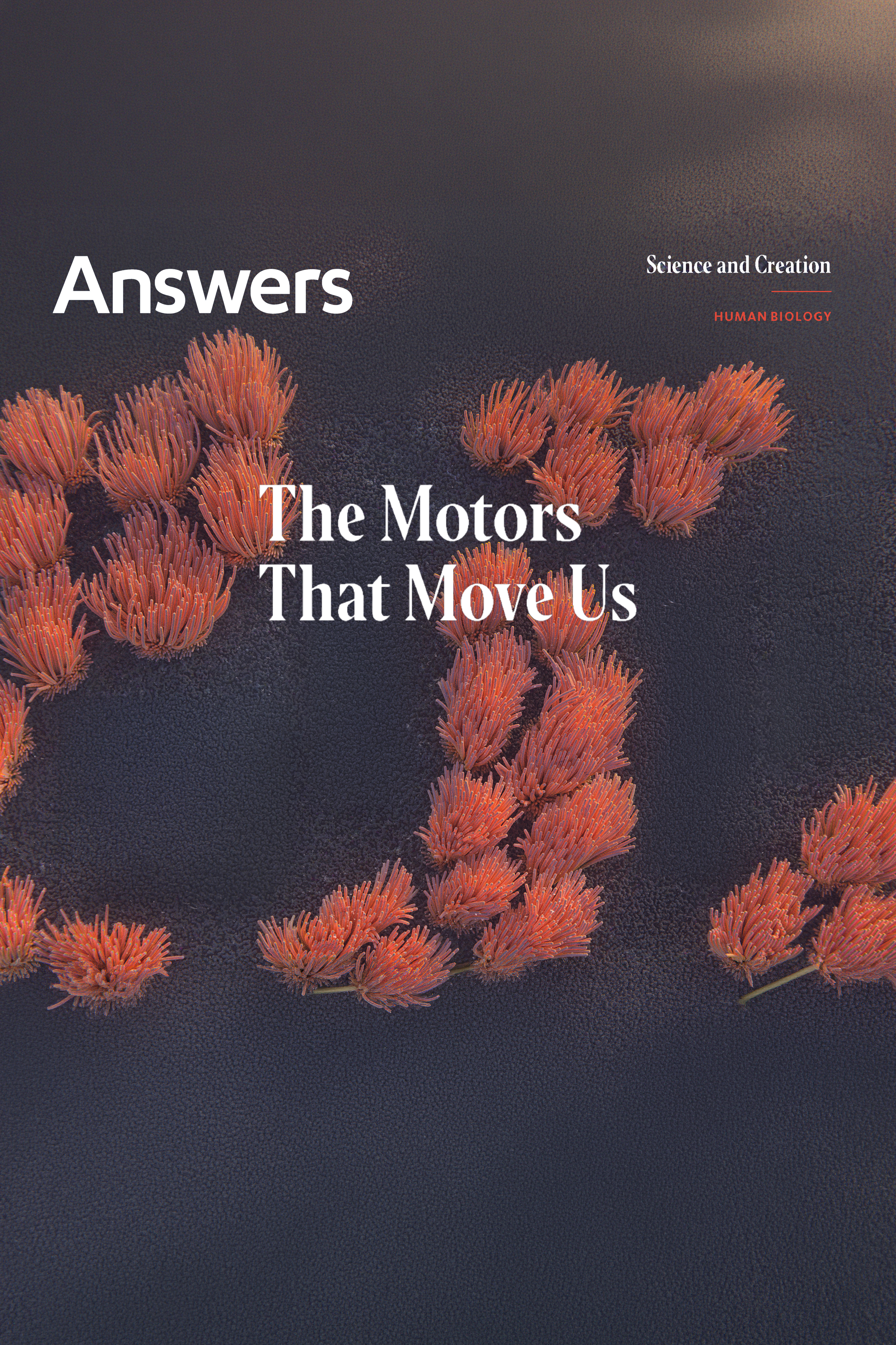 Motors That Move Us (Answers Audio Article)