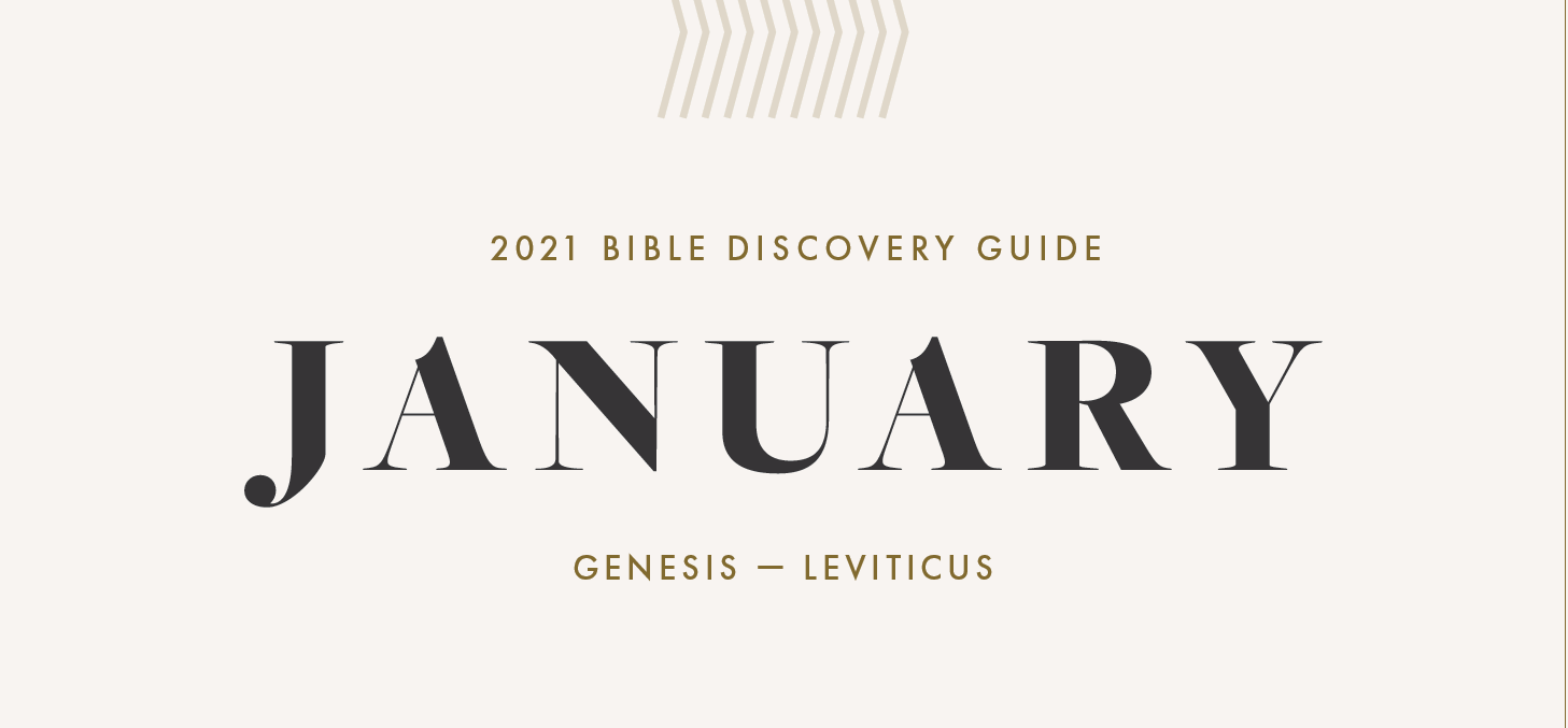 January, 2021 Bible Discovery Guide: Genesis - Leviticus