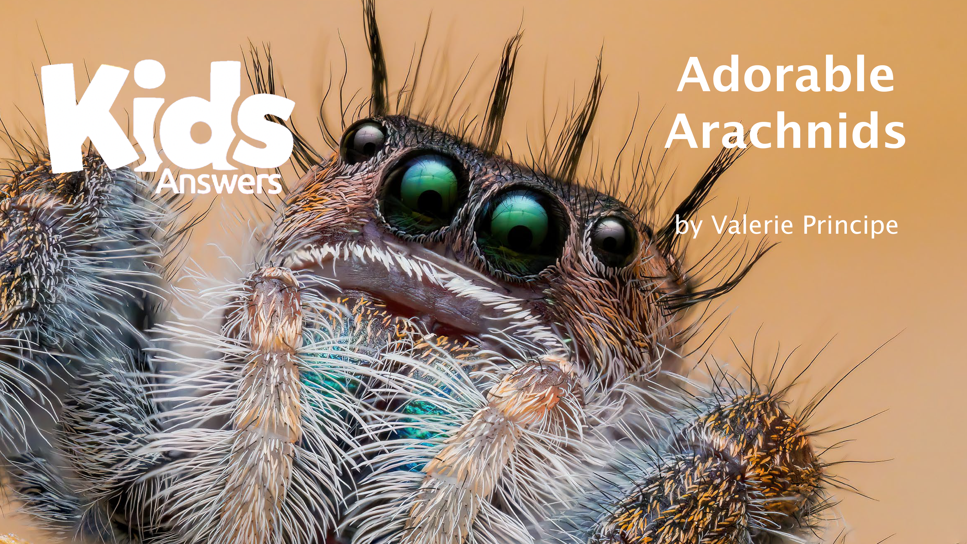 Adorable Arachnids (Kids Answers Audio Article)
